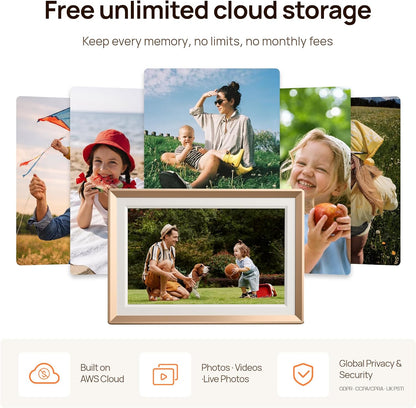 D10 Metal Digital Picture Frame Free Cloud Storage No Subscription 10.1" HD Anti-Glare Touchscreen Load Photos & Videos from Phone Ideal for Thoughtful Gifting Exquisite - Champagne Gold